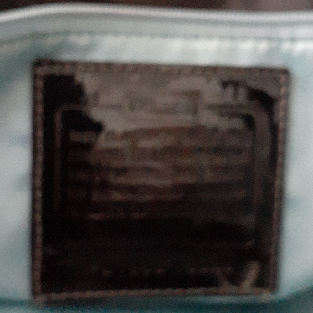Coach Diaper Bag